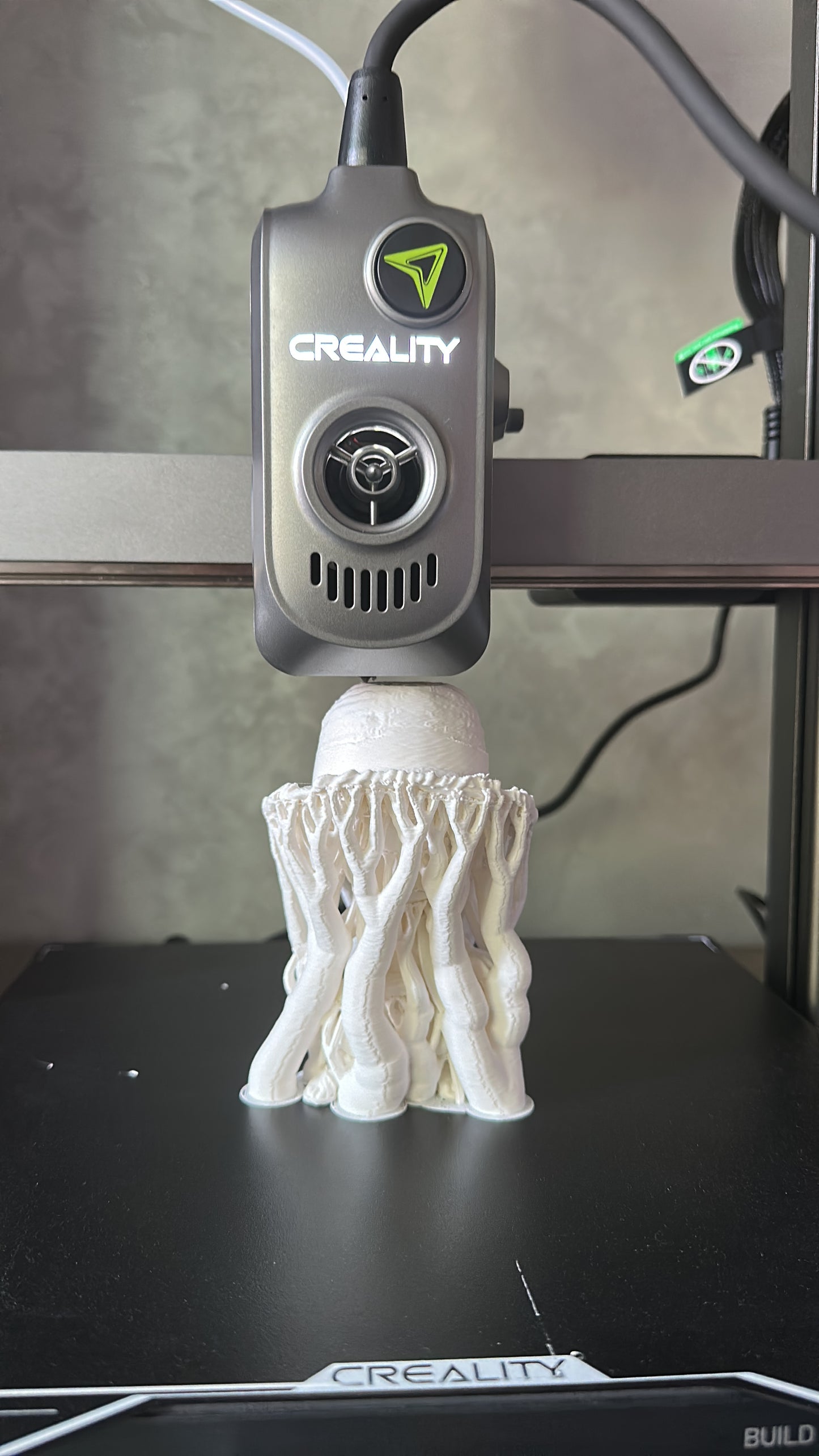 Mugiwara Figurine 3D